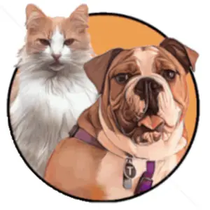 Pet Supply near me. Pet supplies las vegas