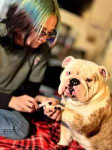 Dog Grooming Las Vegas. Dog Grooming near me.