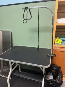 Dog Grooming table for Dog Wash. Las Vegas Pet store. Dog Wash.