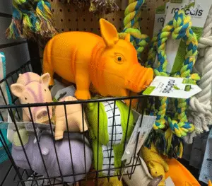 dog toys pet supply plus. las vegas pet supply with dog toys.