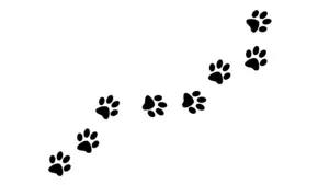 Pet supply las vegas. pet supplies near me